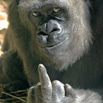 posiposiposi's Avatar'