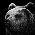 JohnFentonNeil's Avatar'