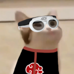 ODuendePaca.'s Avatar'