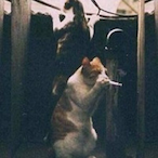 TP-Imissher's Avatar'