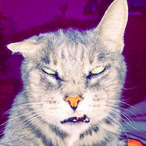 iiOxki's Avatar'