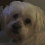 PowerHouseJMM_'s Avatar'