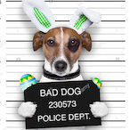 VN_Kendy420's Avatar'