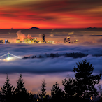 GiantBunana's Avatar'