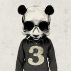 PndaaJC's Avatar'