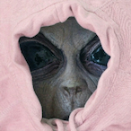 osabason's Avatar'