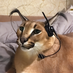 floppagaming.1's Avatar'