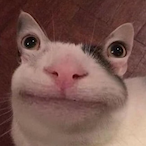 hairy_abdul69's Avatar'