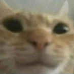 racerboygeo._'s Avatar'