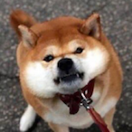 spoonjv's Avatar'