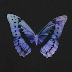 babysister_1710's Avatar'