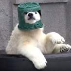 lBreadmanl's Avatar'