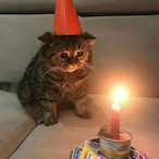 Hengerfej_hu's Avatar'
