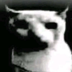 getosarmpitslol's Avatar'