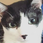 badstrike67's Avatar'