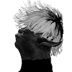 MC.Yoda's Avatar'