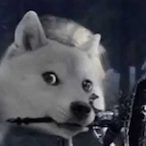 Zzzongryeo's Avatar'