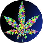 Donbolling3r12D's Avatar'