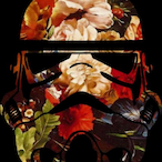 Crookhed's Avatar'