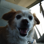 HypeJammie's Avatar'