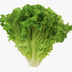 Lettuce.Gaming's Avatar'