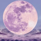 Wolmong's Avatar'