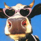 waynonymous's Avatar'