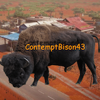 ContemptBison43's Avatar'