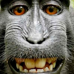 Gennomy's Avatar'