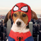Peter.Barker's Avatar'