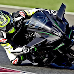 KM.CAP.MELON's Avatar'