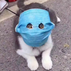 Robotic_Fishy67's Avatar'