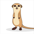 Vietnam_Meerkat's Avatar'