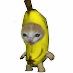 pphjrbh15's Avatar'