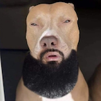 xjokerbabyx's Avatar'