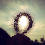 EacentMa's Avatar'