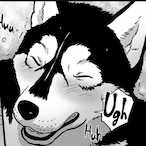 RuskyyPuppy's Avatar'