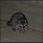 hiimdave-_-'s Avatar'