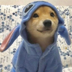 FredTheMundane's Avatar'