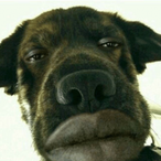 StinkyGush's Avatar'