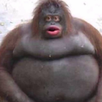 Yall_Kuckin's Avatar'