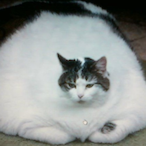 BigCaesar69's Avatar'