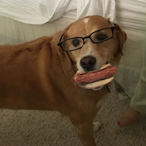 Stodgyjarl's Avatar'