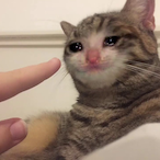 blinken_30's Avatar'