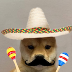 SwungByBird's Avatar'