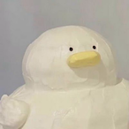 Wayne_duck's Avatar'