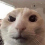 kinqbutterz's Avatar'