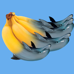 Dolphanana's Avatar'