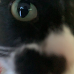 NarniStretchrLD's Avatar'