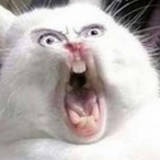 Egorka228game's Avatar'